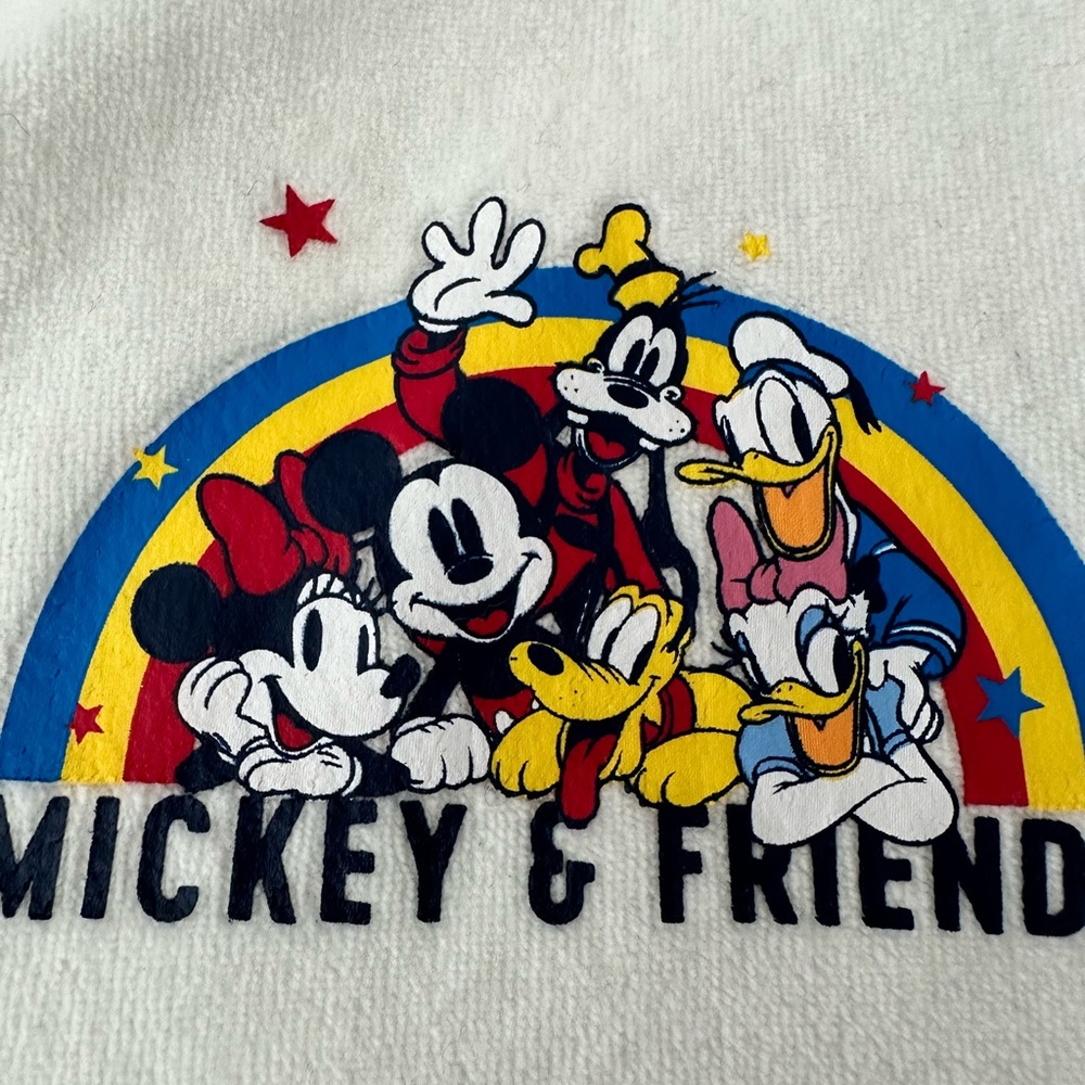 Disney and friends spirit rainbow Jersey. New.